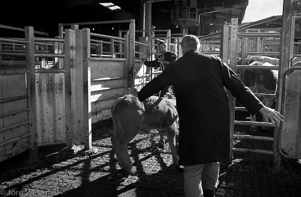 joerg-201109-014